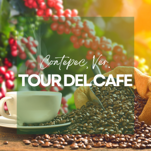 RUTA DEL CAFE COATEPEC