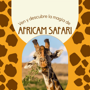 AFRICAM SAFARI EN PUEBLA ZOOLOGICO 1 DIA